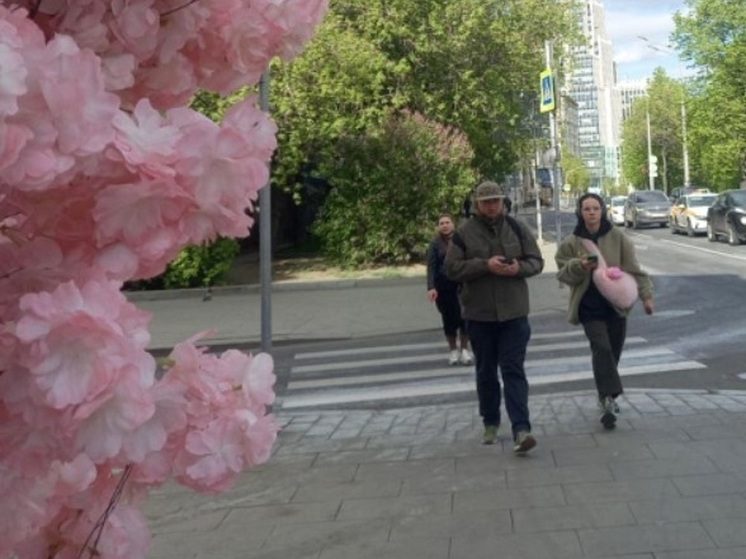 Знаток из Светлограда признан лучшим игроком Молодежной лиги «Что? Где? Когда?»