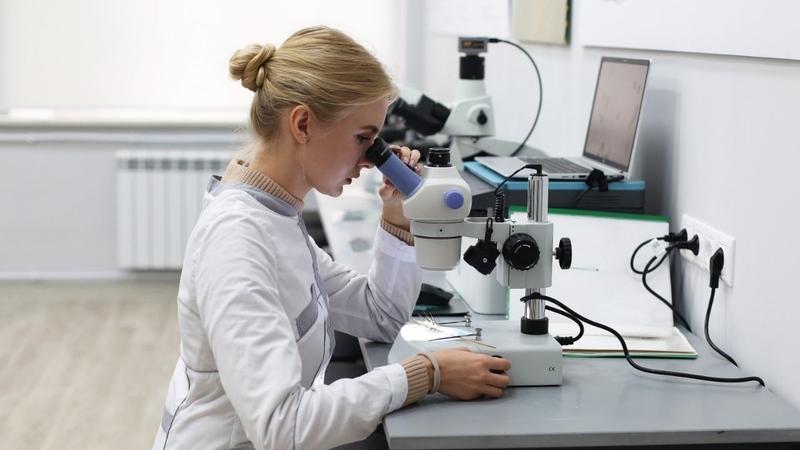 Аграрный вуз Ставрополья делится опытом работы по госпрограмме «Приоритет-2030»