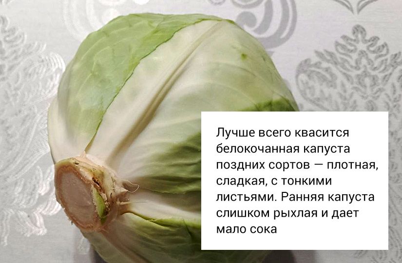 Базовый рецепт квашеной капусты: инструкция для новичков4