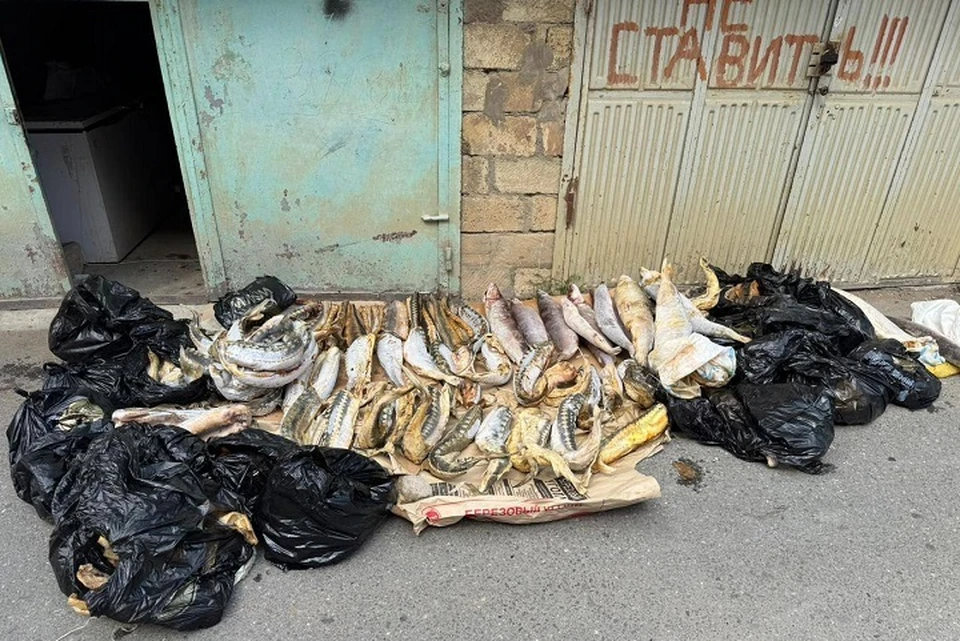 Браконьеры в Дагестане хранили в гараже более 200 кг краснокнижной рыбы и икры0