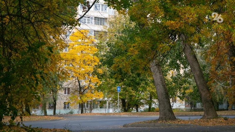 До +23 градусов ожидается на Ставрополье 8 октября