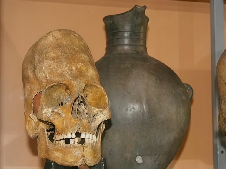 Древний аланский воин «ожил» в Кисловодском музее благодаря реконструкции черепа