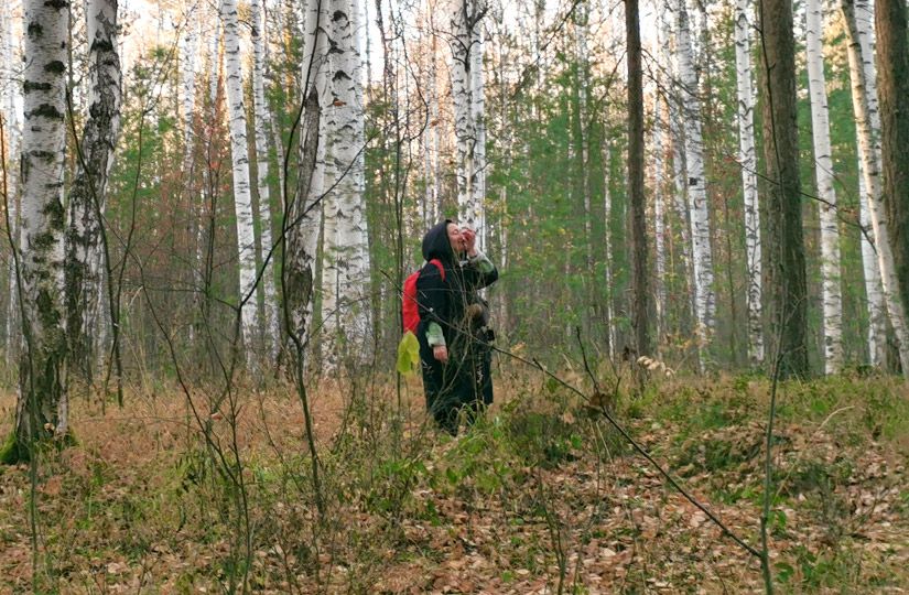 Эффект осенних ритуалов: что о них думают психологи13