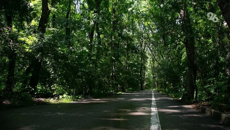 Грибник нашёл подозрительное устройство в лесу на юге Ставрополья