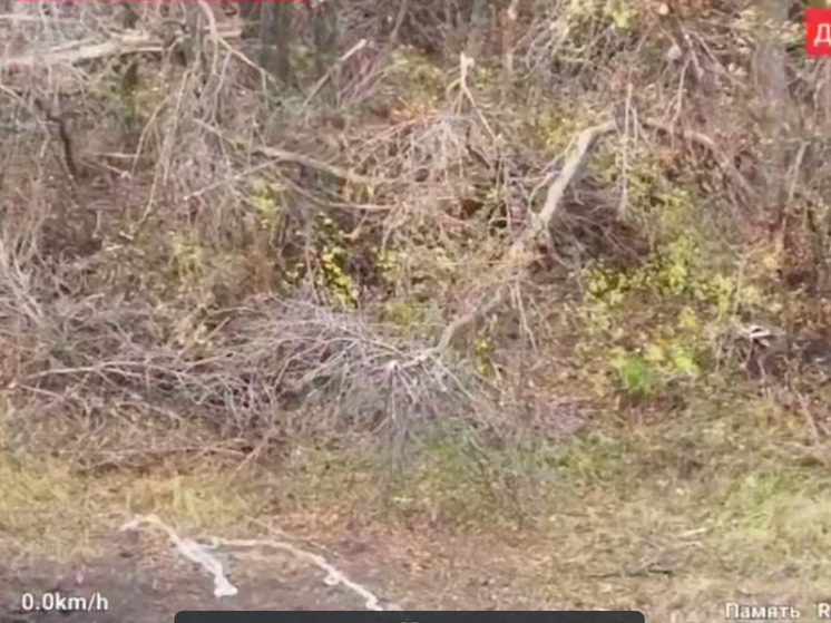 Кадыров сообщил о ликвидации противника на Сумском направлении силами спецназа «Ахмат»