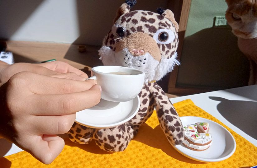 Как кукольное чаепитие развивает эмоциональный интеллект ребёнка7