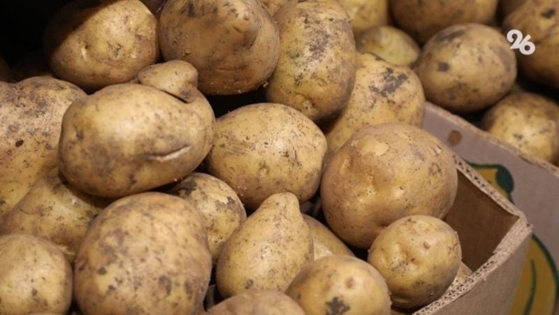 Картофель убрали на 80% полей Ставрополья