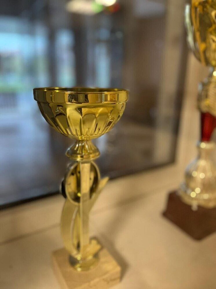 Коллектив Балахоновского ПНИ получил Кубок I степени на Всероссийском фестивале-конкурсе