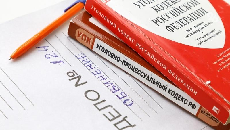 На мужчину, напавшего на женщину с собакой во Владикавказе, возбудили дело