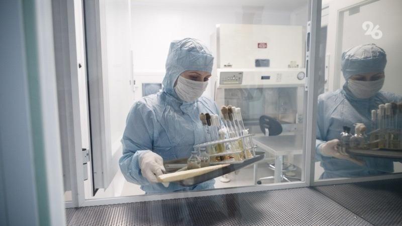 На повышение зарплат медиков Ставрополья в 2026 году заложено 600 млн рублей