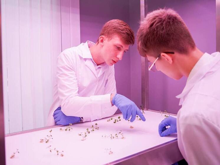 На Ставрополье 84 тысячи студентов получают среднее профессиональное образование