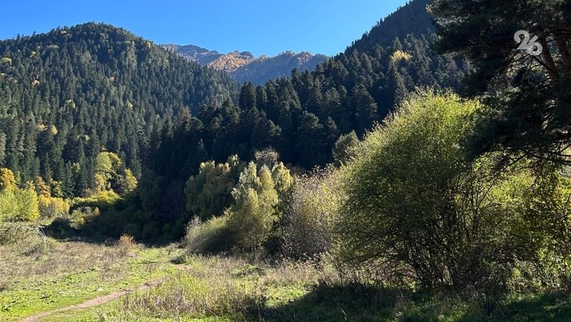 На Ставрополье борются с вандализмом на памятниках природы