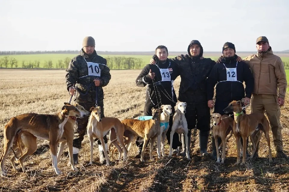 На Ставрополье прошел турнир лучших охотничьих борзых собак0