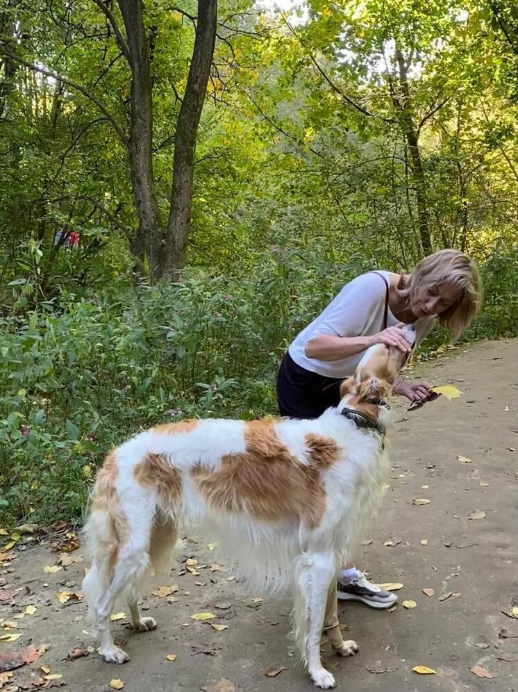 На Ставрополье прошли состязания борзых собак памяти Бекмурата Юсупова