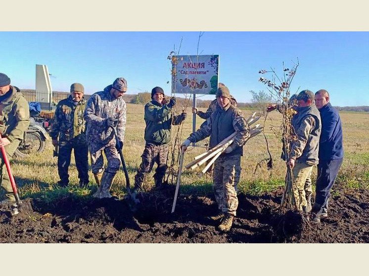 На Ставрополье высадили 300 деревьев в рамках акции «Сохраним лес»