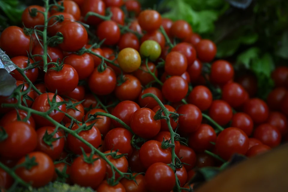 На Ставрополье за неделю подорожали мука, огурцы и яйца0