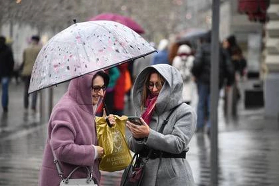 Небольшой дождь и ветер ожидаются на Ставрополье в начале рабочей недели0