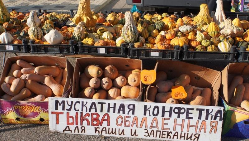 Около 25 тонн продукции купили на ярмарке в Кочубеевском округе