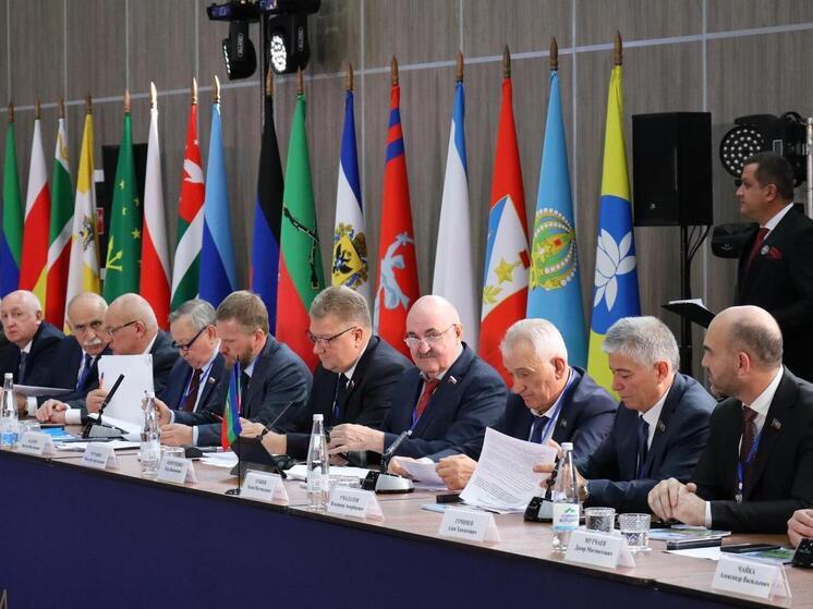 Пять инициатив Думы Ставрополья поддержали в Северо-Кавказской Парламентской Ассоциации