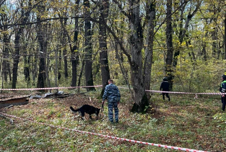 Под Железноводском нашли 82-миллиметровую минометную мину0