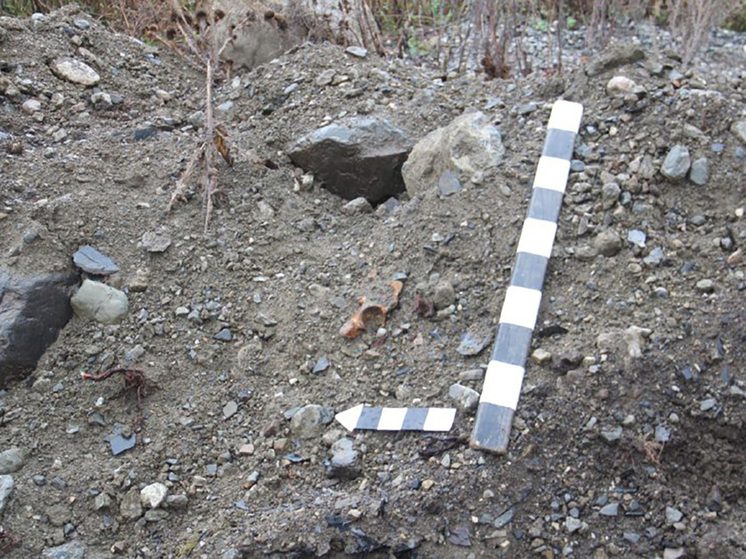 При проведении работ на территории архитектурного комплекса в Осетии выявили нарушения