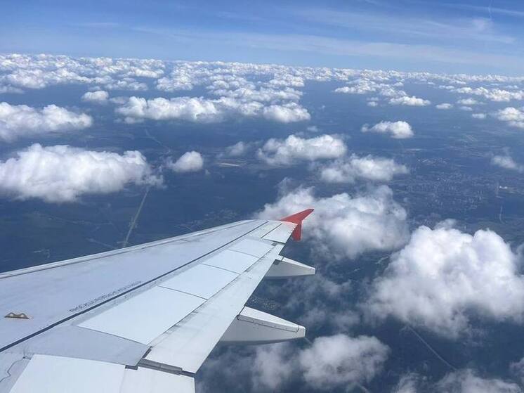 Рейс «Владикавказ – Москва» задержали из-за столкновения самолета с птицей