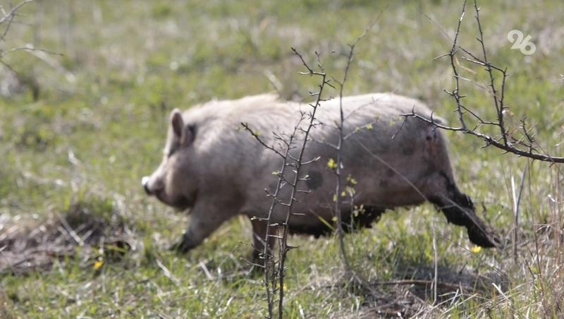Советы по безопасности в связи с началом сезона охоты и рыбалки дали россиянам