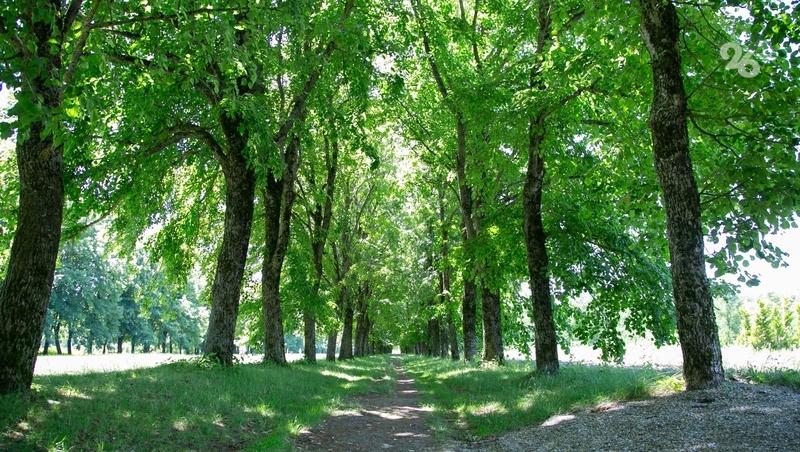 Ставропольцам разрешили посещать леса