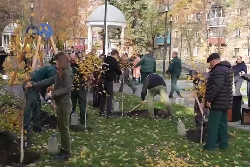 Ставропольцы высадили 170 саженцев сосны, клена и берез в подшефном Антраците0
