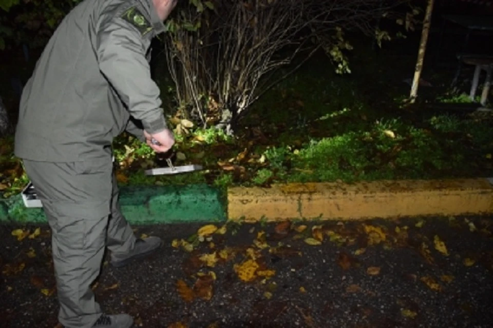 Стрелявший на радостях в воздух мужчина в КБР попал в лицо девушке на балконе0