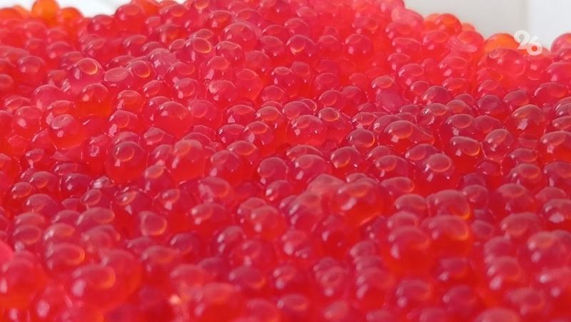 Свыше 40 тонн форели вырастили в хозяйстве Предгорного округа