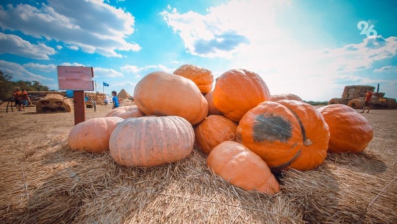 Тыква богата витаминами различных групп — российский врач-эндокринолог