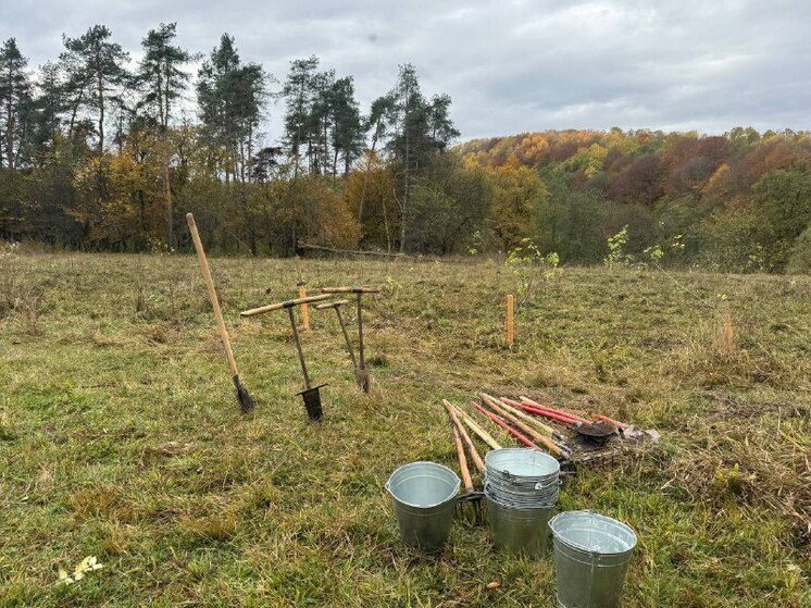 В Карачаево-Черкесии высадили 200 саженцев ясеня
