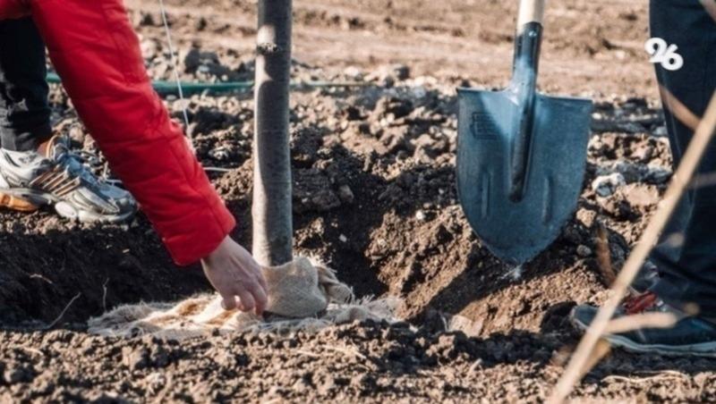 В Минводах на средства турналога преображается пространство вокруг собора
