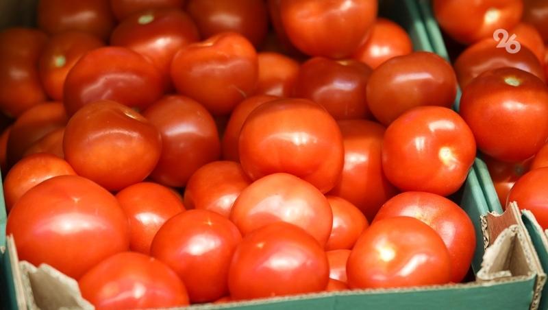 В Предгорном округе вырастили более 4 тыс. тонн тепличных томатов