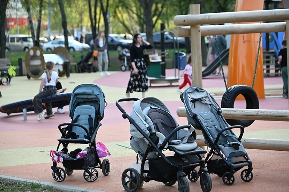 Восемь народных проектов округа на Ставрополье получат 31 млн рублей0