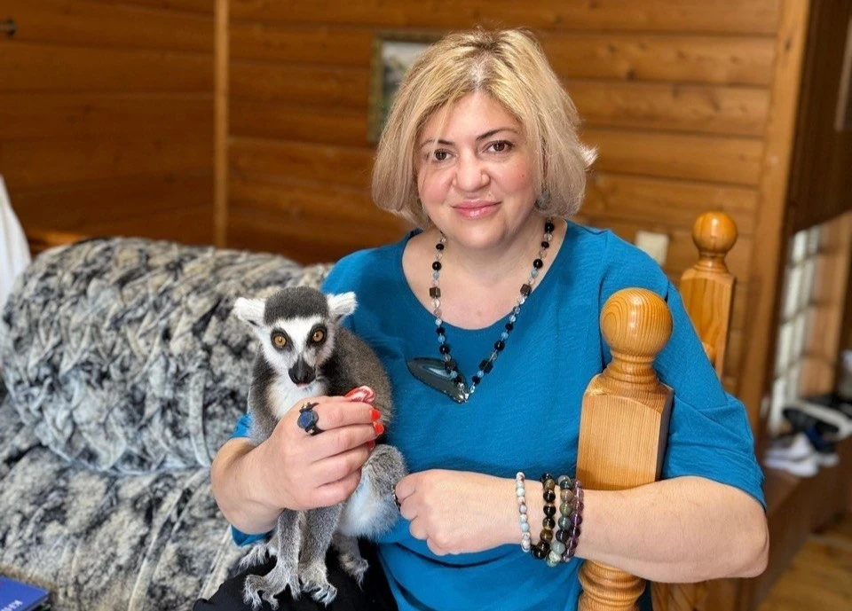 Жительница Ставрополя приютила замерзшего лемура0