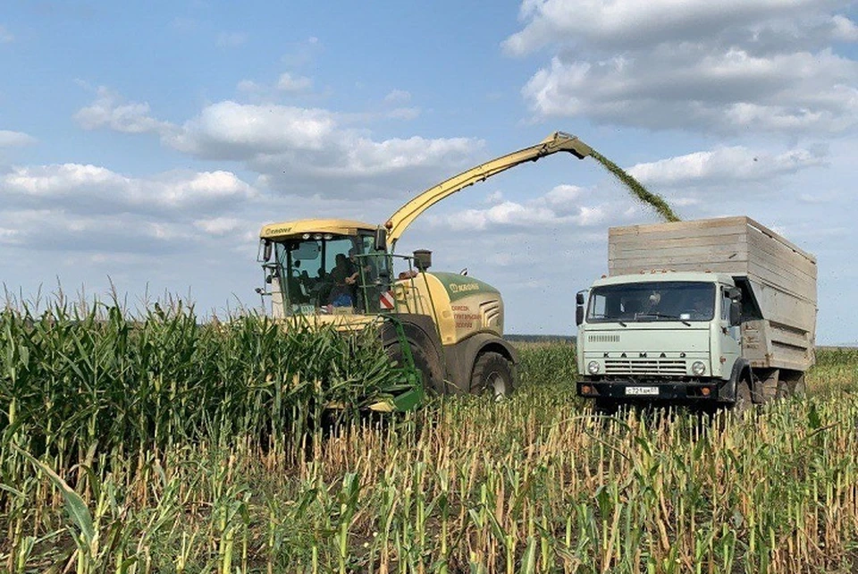 Аграрии Предгорного округа на Ставрополье заготовили 65,2 тысячи тонн кормов0