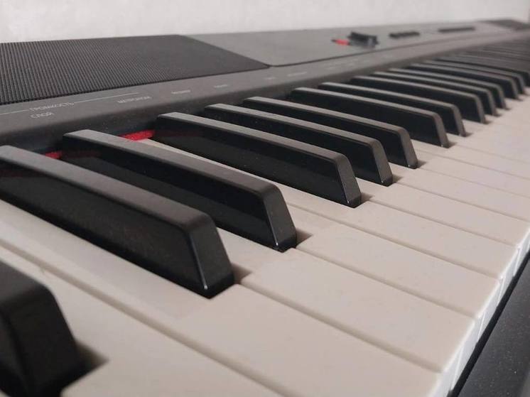 Арзгирская школа искусств получит новые инструменты благодаря нацпроектам