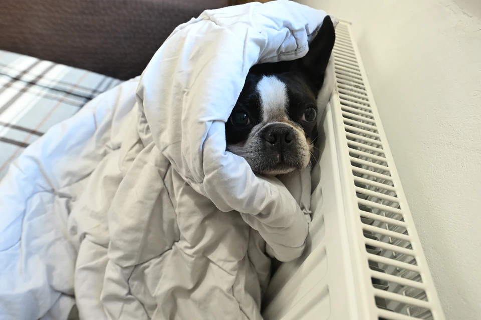 Более 10 улиц остались без отопления в Ессентуках0