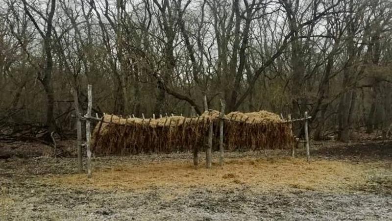 Более 3 тыс. подкормочных площадок для птиц и животных создали на Ставрополье