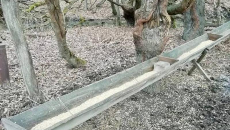 Более 3 тыс. подкормочных площадок для птиц и животных создали на Ставрополье