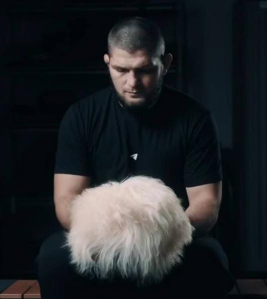 Более 340 млн рублей выручил Telegram на продаже папах дагестанца Нурмагомедова