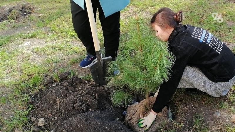 Более 4 тыс. саженцев высадили в Кисловодске участники экоакции 