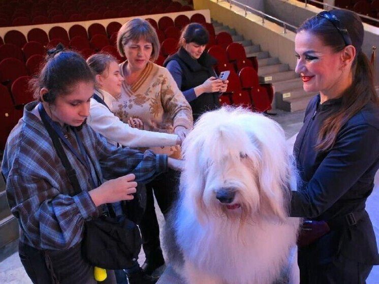 Более 40 юных зрителей посетили инклюзивное представление в кисловодском цирке