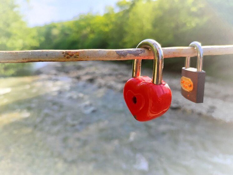 Более 500 межнациональных семейных пар зарегистрировали на Ставрополье в 2025 году