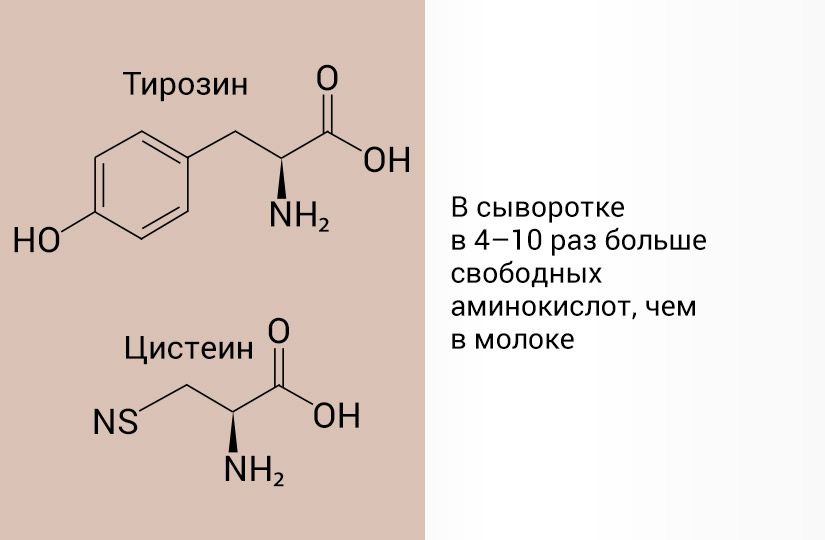Чем молочная сыворотка полезнее молока и как приготовить её дома2