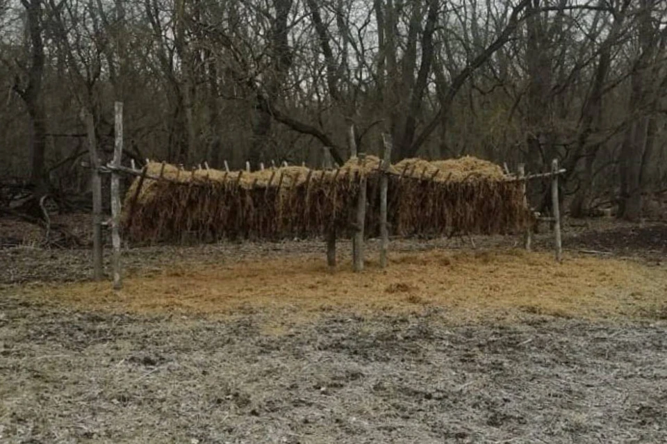 Для диких животных на Ставрополье обустраивают подкормочные площадки0
