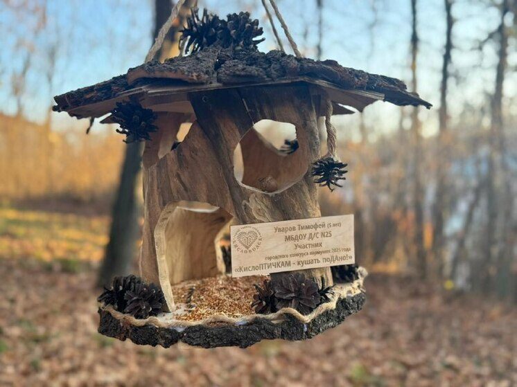 Глава Кисловодска вместе с детьми развесил кормушки в Комсомольском парке