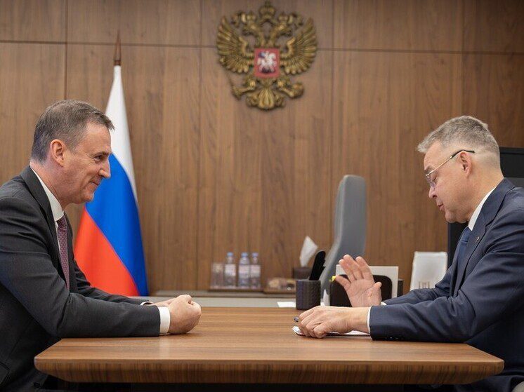 Глава Ставрополья доложил о развитии АПК на встрече с вице-премьером Правительства РФ